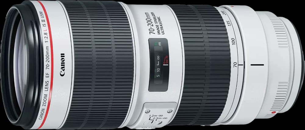 Canon EF 70-200mm f/2.8L IS III USM - Perspective